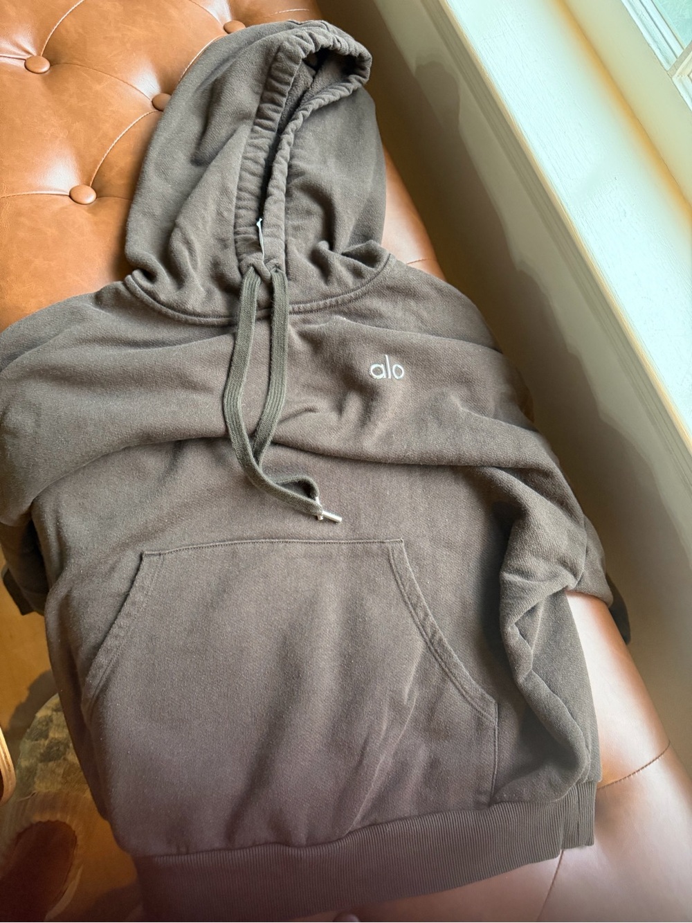 ALO Yoga Men's Brown Pullover Hoodie